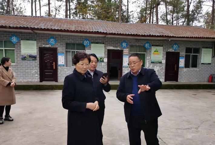 巴中市委常委，市委統戰部部長、市總工會主席溫奇志、通江縣縣委書記孫輝一行來公司調研