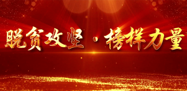 全國脫貧攻堅(jiān)總結(jié)表彰大會在北京人民大會堂隆重舉行